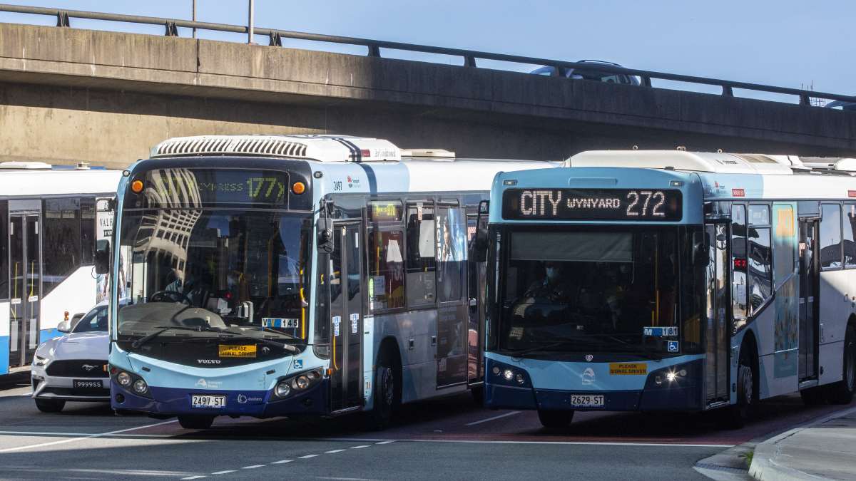 המכשיר שמודד טלטולים באוטובוסים ציבוריים